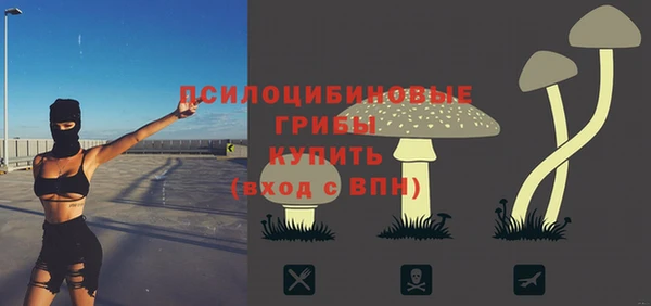 меф VHQ Дмитриев