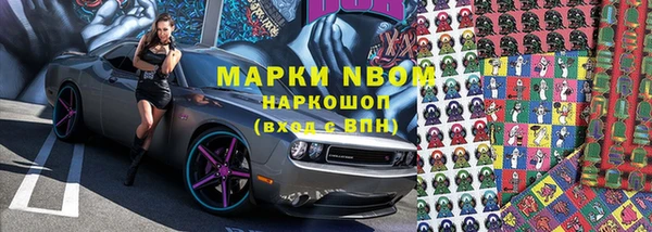 крисы Дмитров