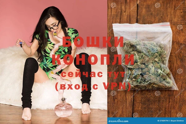 крисы Дмитров